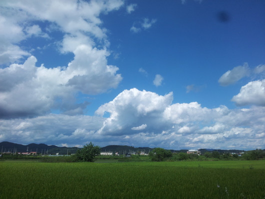가을