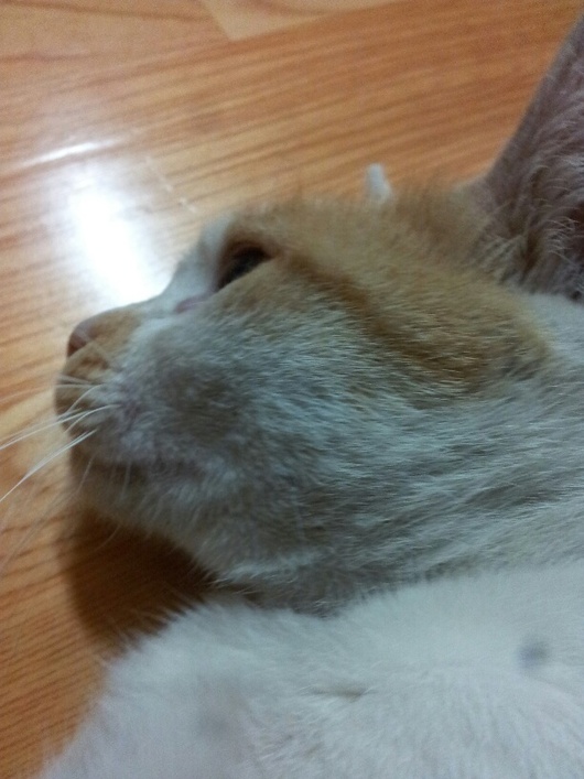 가을