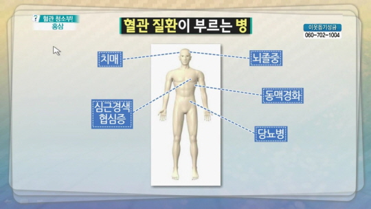 전 세계로 뻗어나가는 홍삼