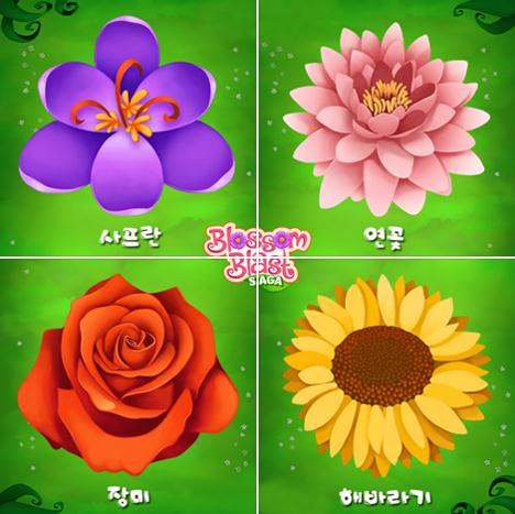 어떤 꽃을 가장 좋아하세요?