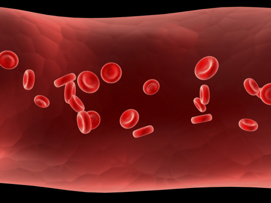 혈액순환이 잘 되지 않을 땐..?