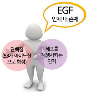 EGF재생크림 들어보셨어요?