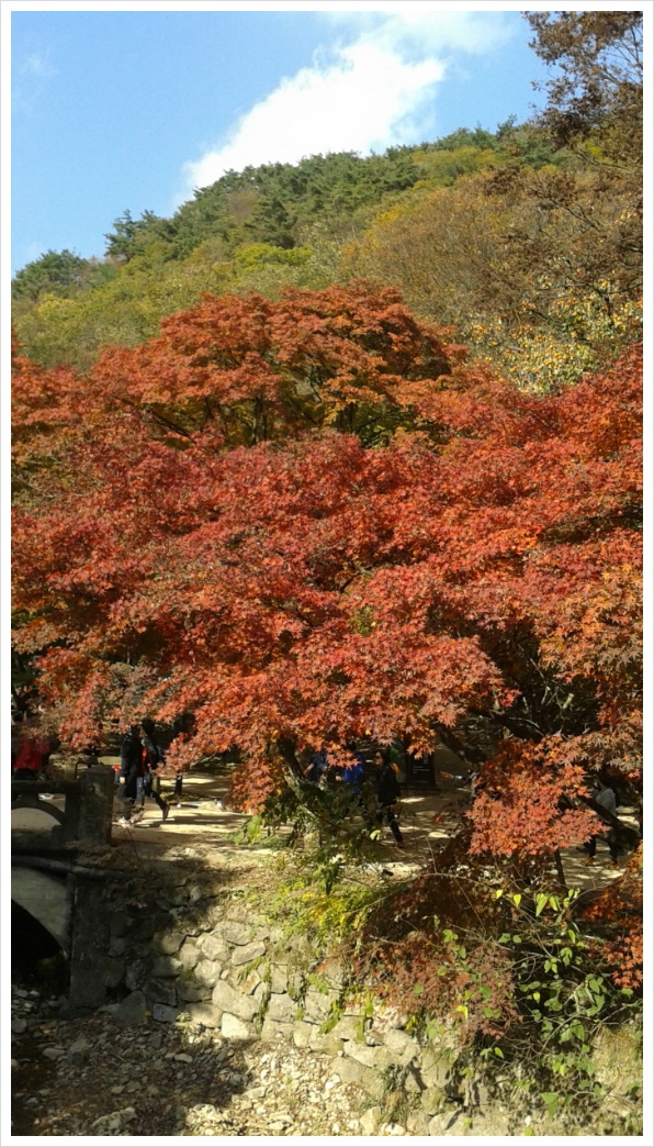 동생과 같이 내장사를