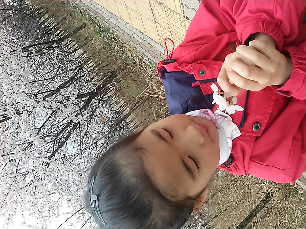 벚꽃아래