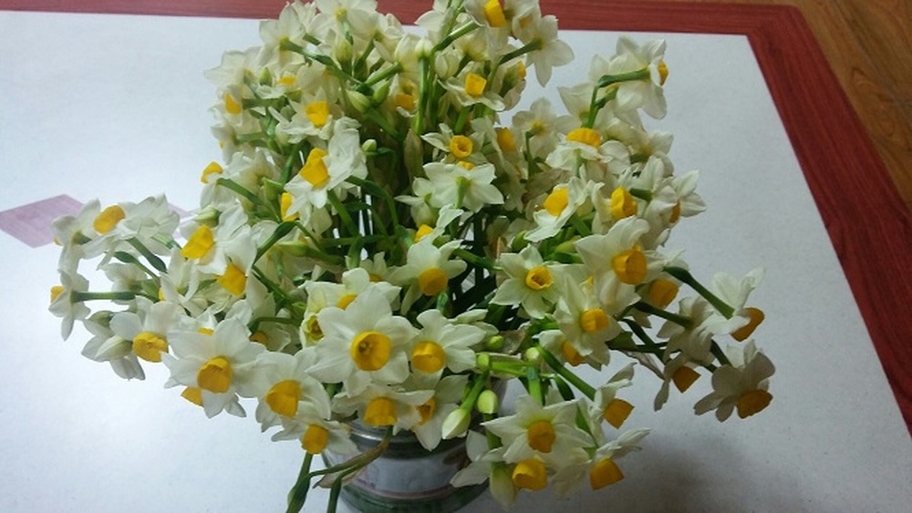 봄이 내 식탁에 올라왔..