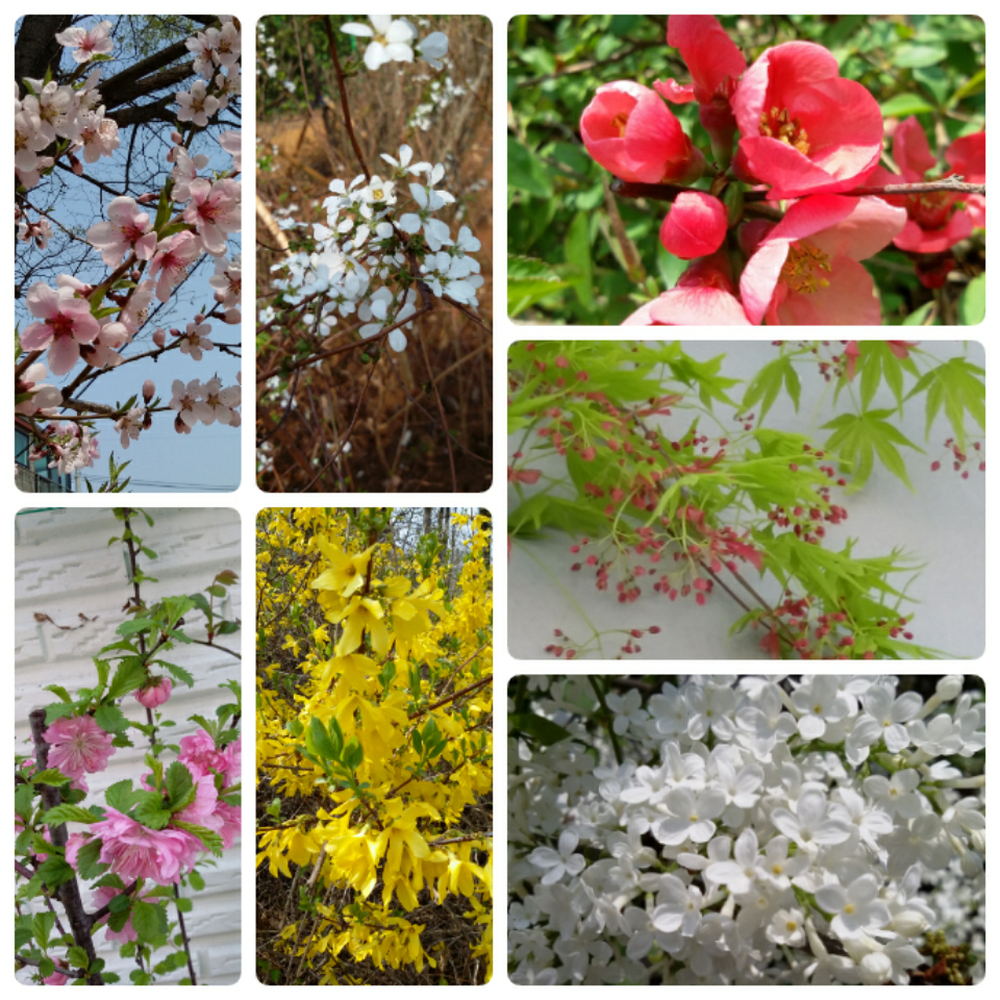 봄에는 역시.. 꽃이 ..