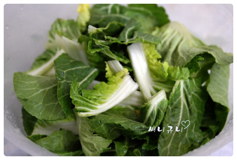 봄동 겉절이