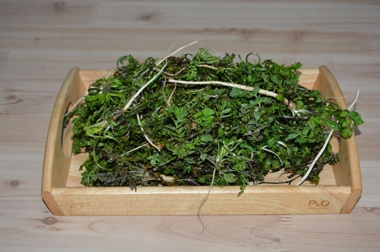 3.jpg 봄나물 냉이무침 만들기