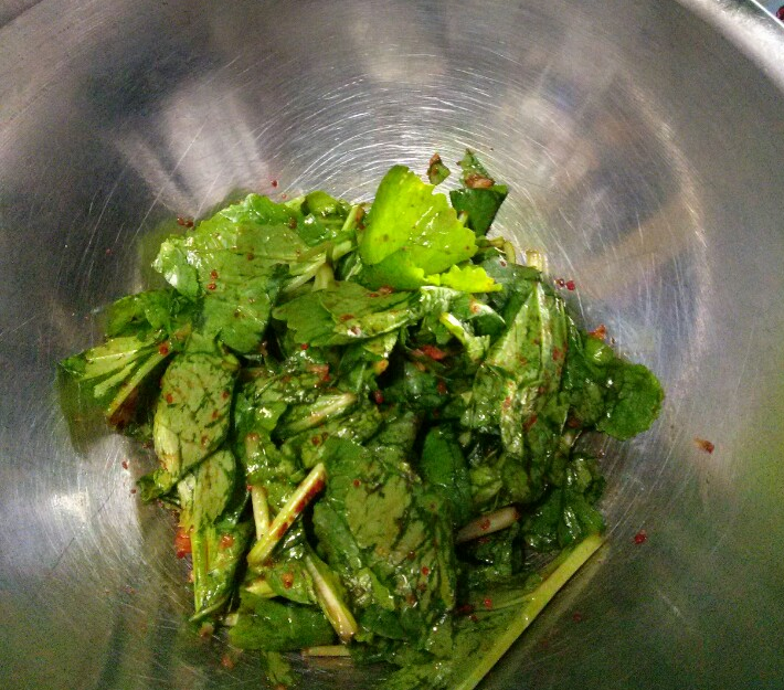 향긋한 봄이 여기 있었..