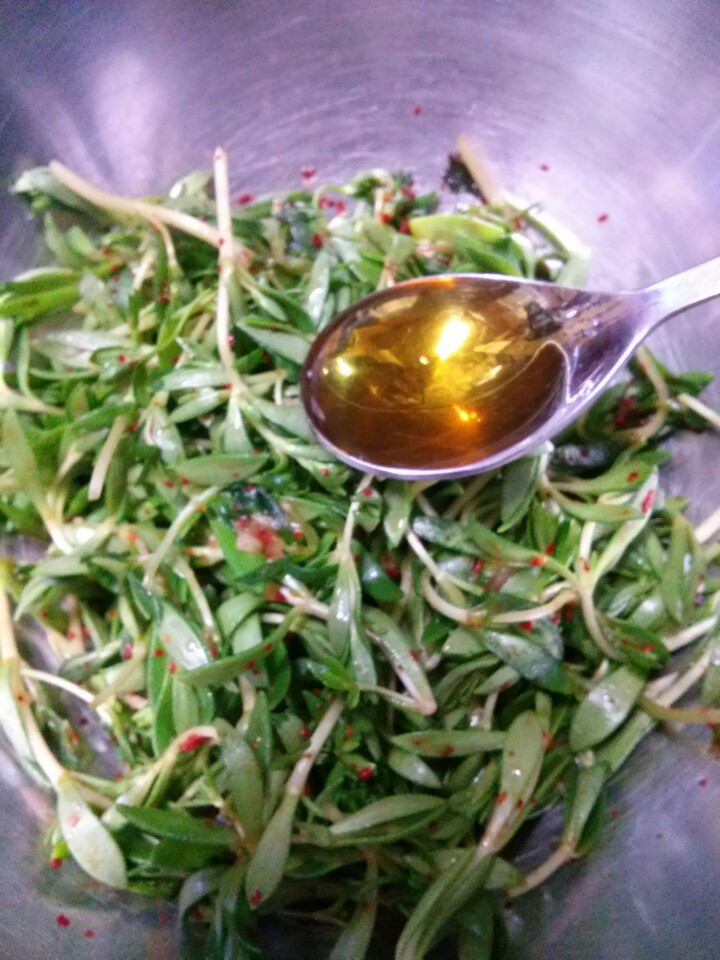 향긋한 봄이 여기 있었..