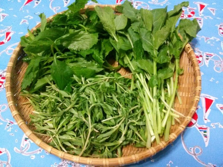 향긋한 봄이 여기 있었..