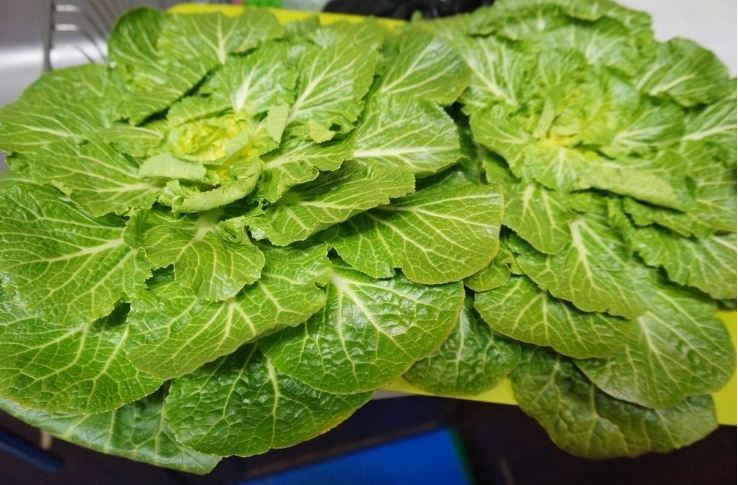 %25EC%25BA%25A1%25EC%25B2%2598a1.JPG 들깨가루를 넣은 봄동 ..