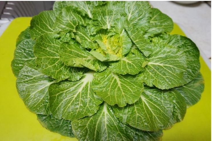 %25EC%25BA%25A1%25EC%25B2%2598a2.JPG 들깨가루를 넣은 봄동 ..