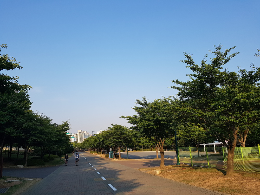 대공원의 하늘은