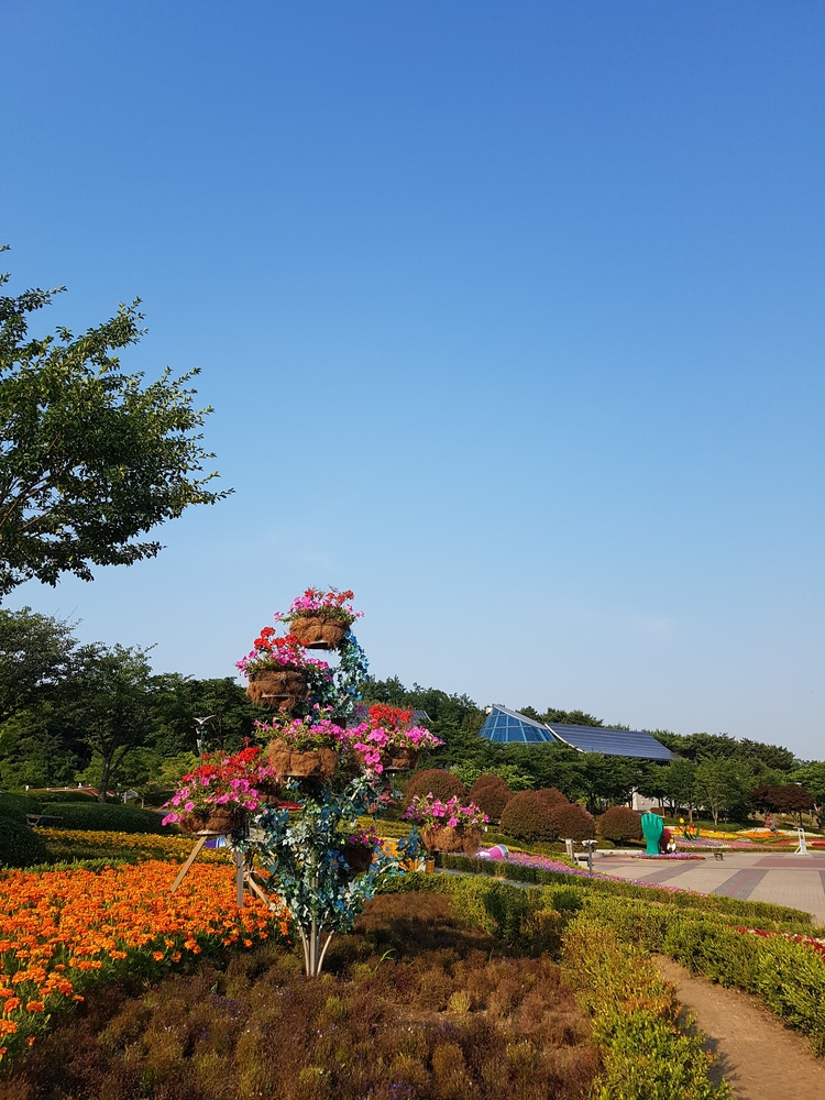 꽃과 하늘
