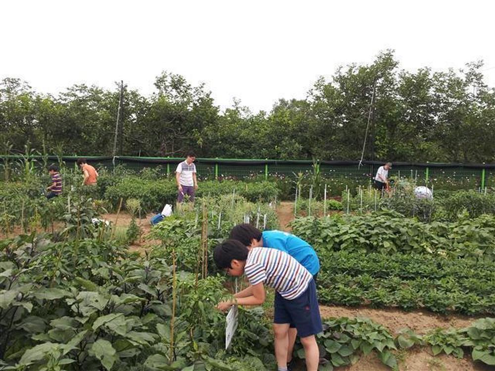 아이들과 텃밭에서..