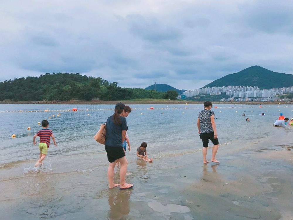 제일사랑하는내자식들