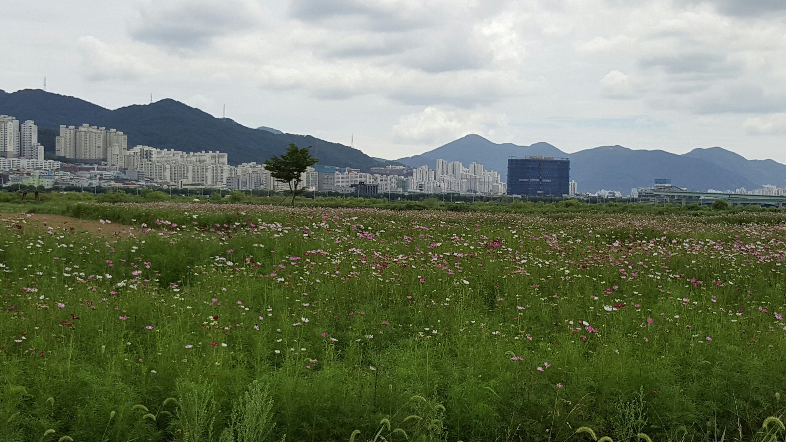 더워서 힘들기만~~