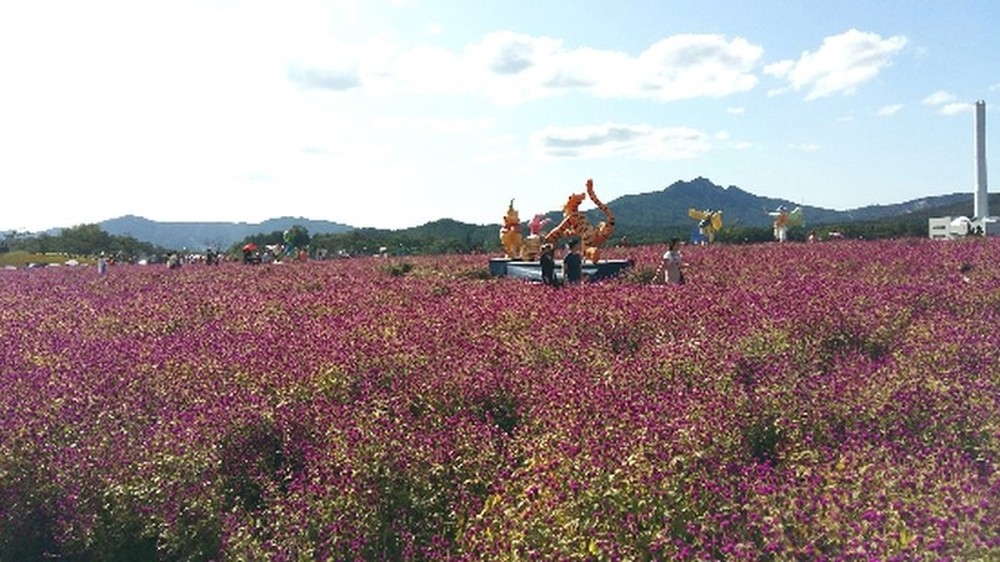 양주 나리공원에서 천만..