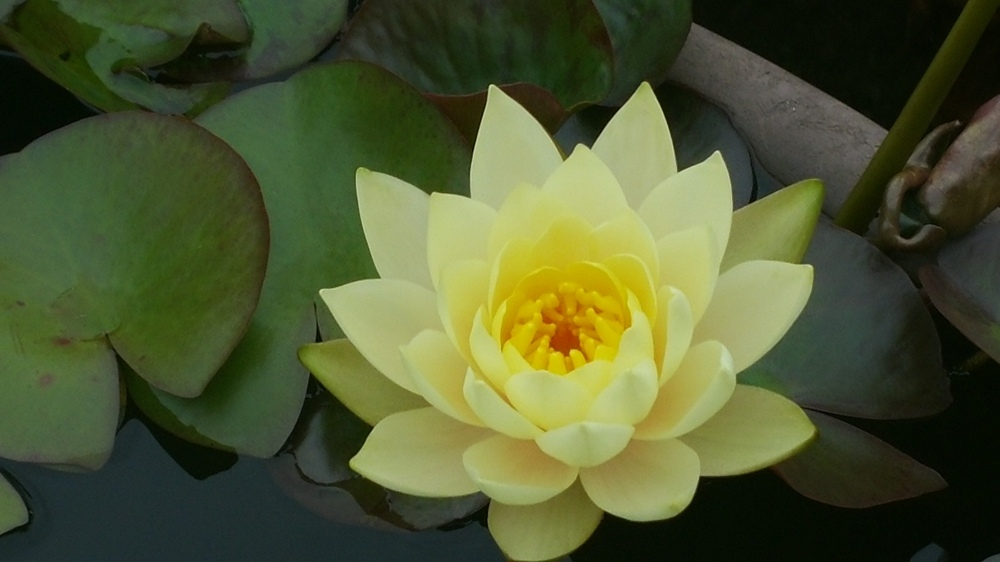 색상이 넘 고와서