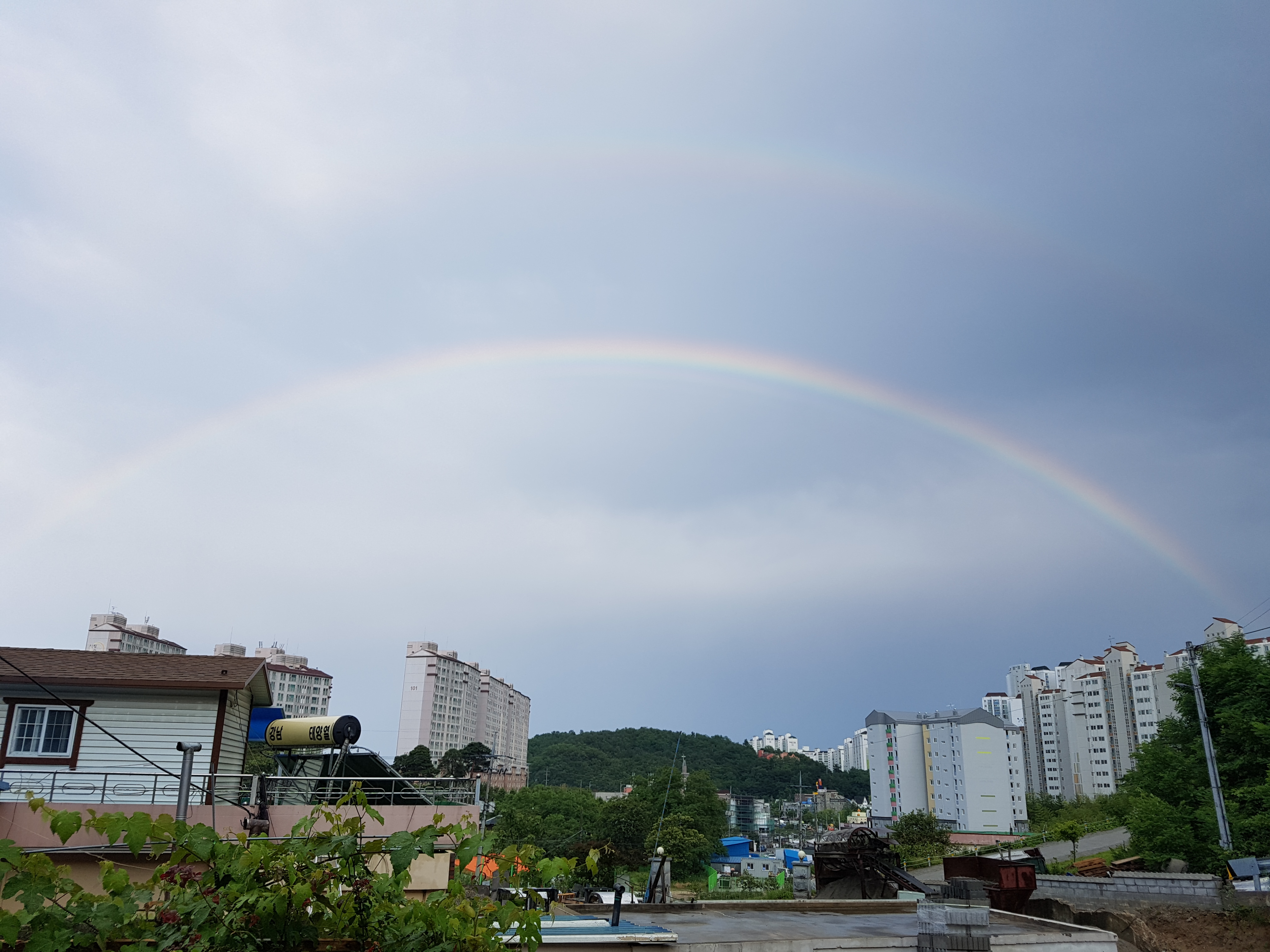 가장 잘한 일
