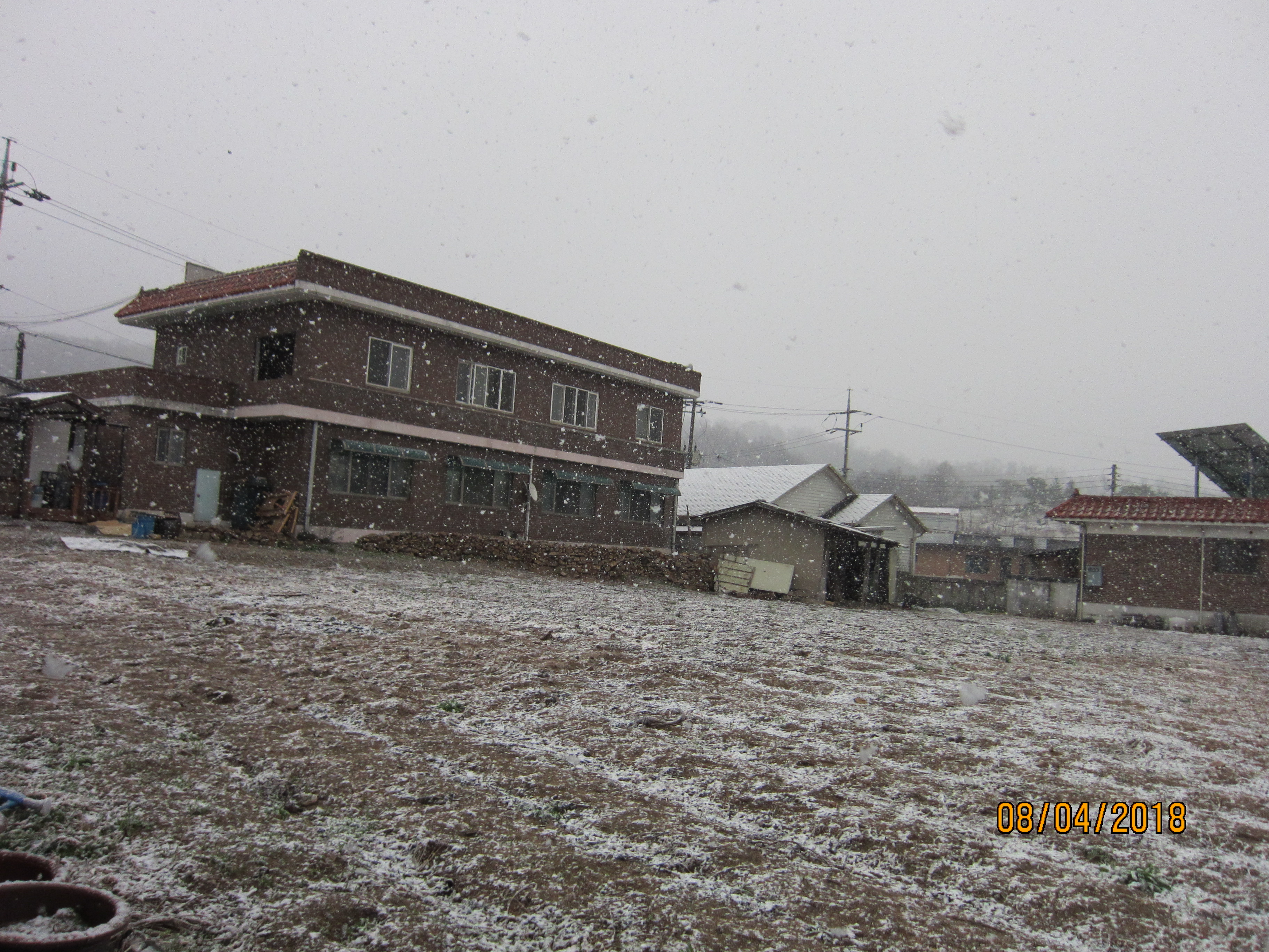 눈이 펑펑 내려서 사진..