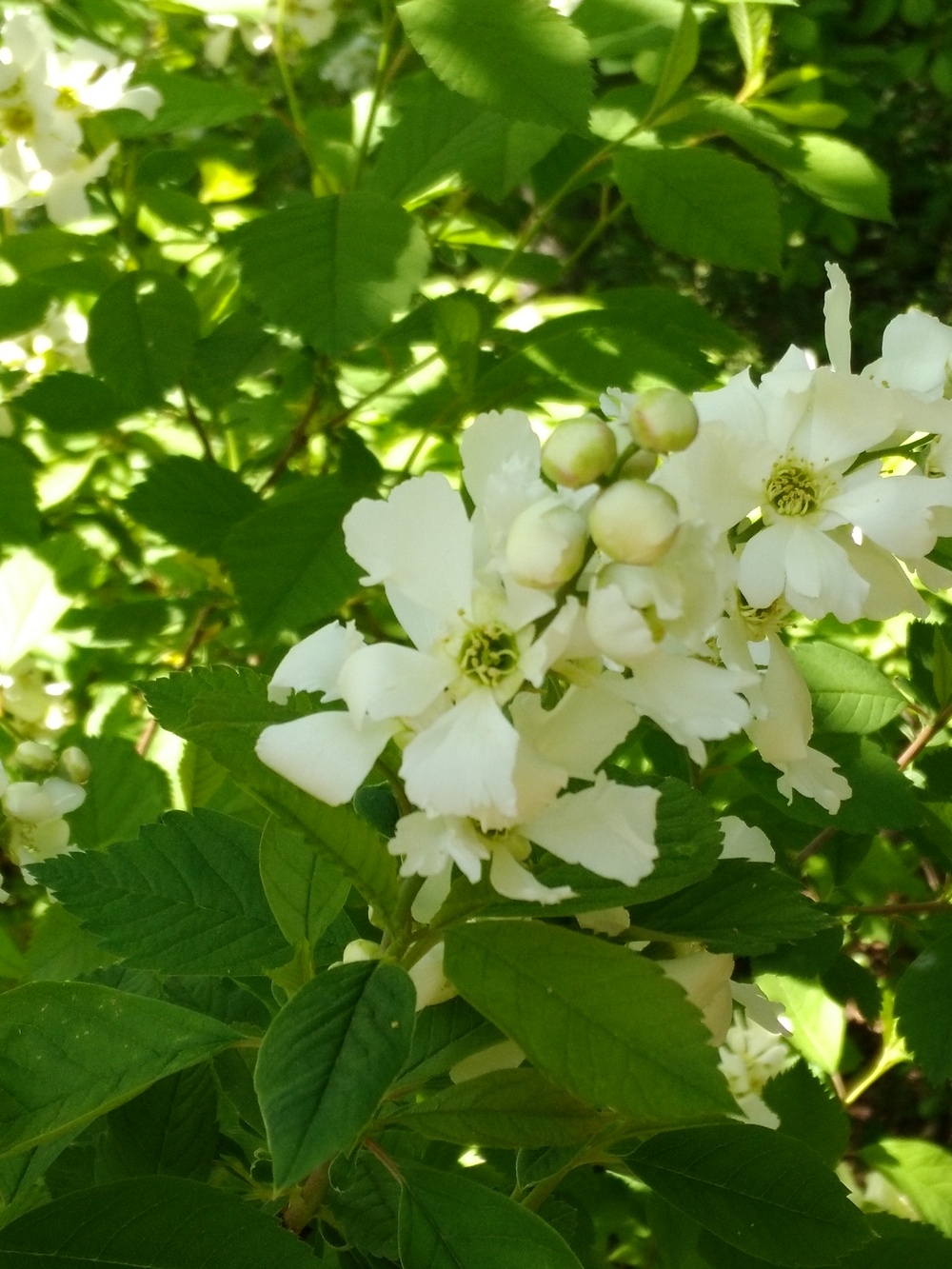 꽃과 하루