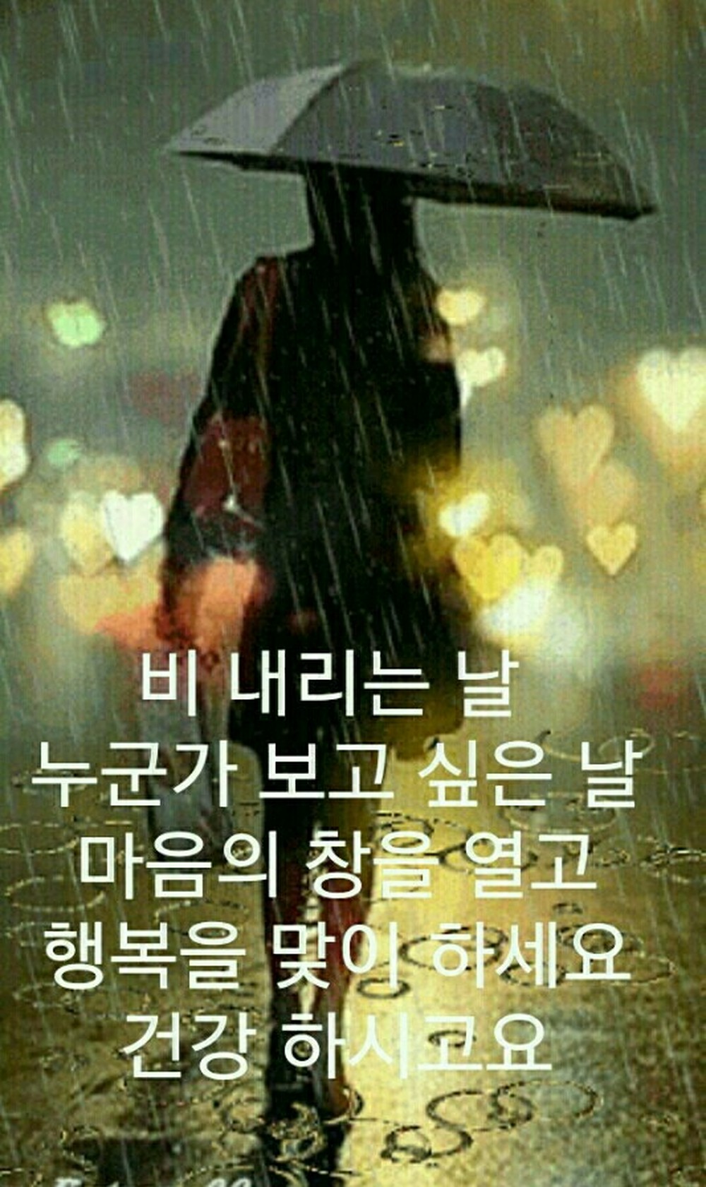 비오는 날 풍경