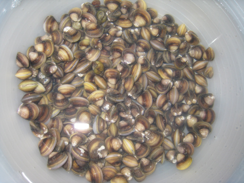 [오늘의미션] 오늘 아..