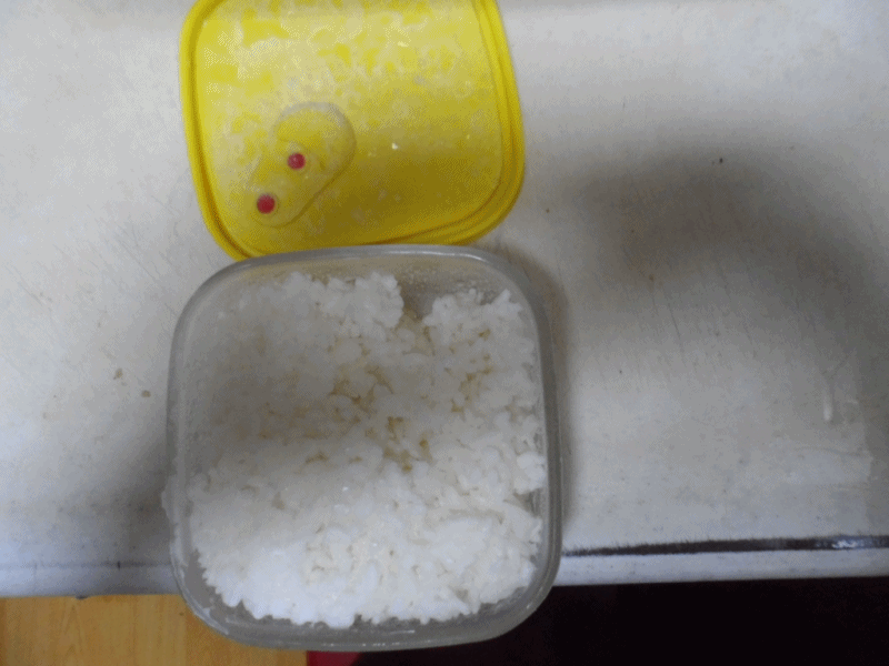 냉장고에 미리 밥을 얼..