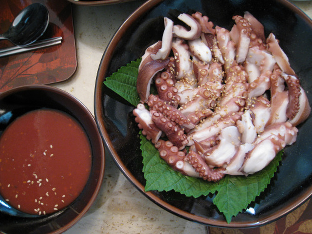 [오늘의미션] 나의 단..