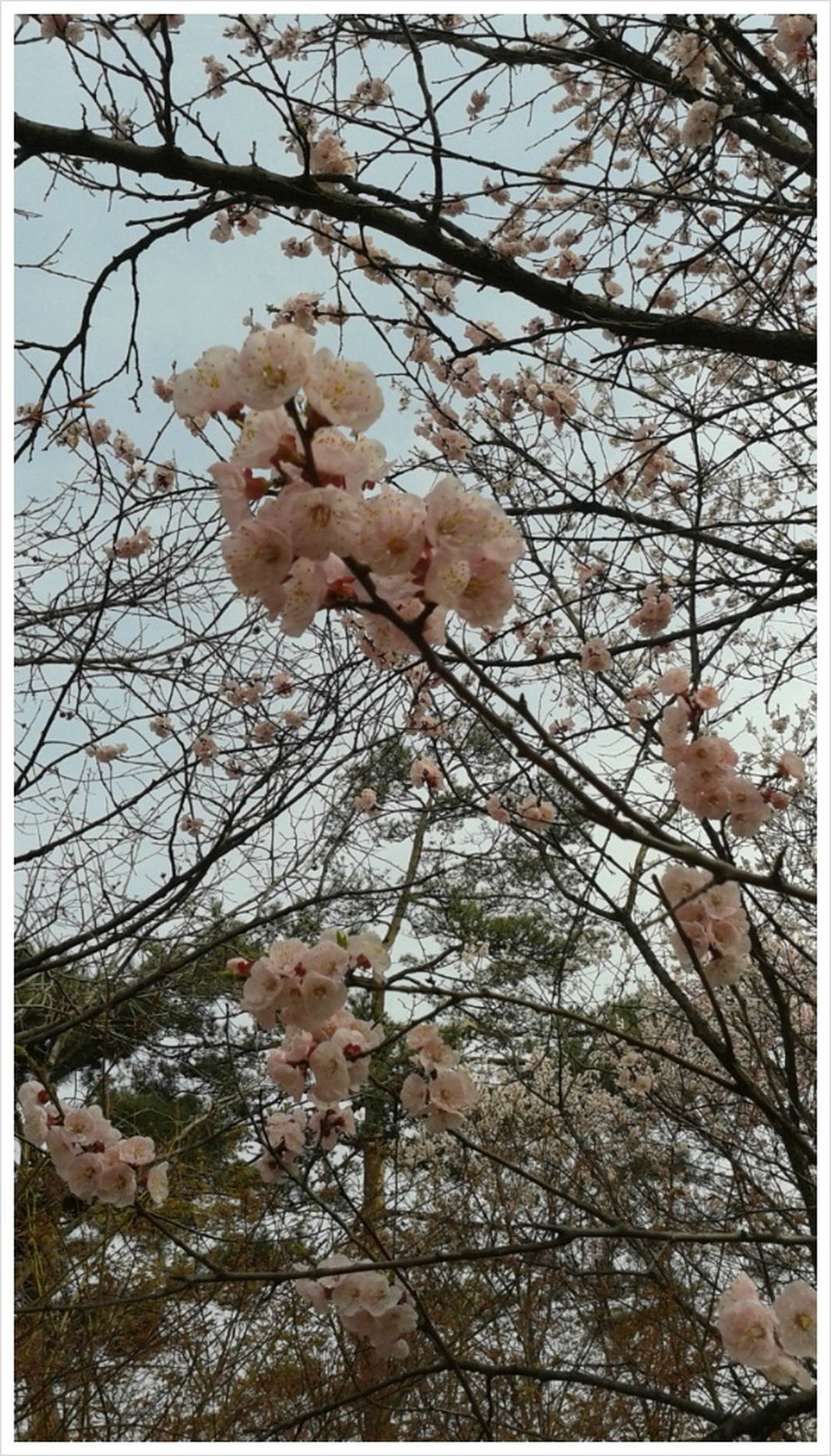 명절전 준비사항 일차 끝