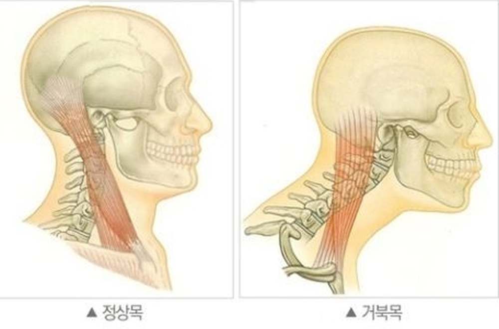 [오늘의미션] 올바른 스마트폰 사용법