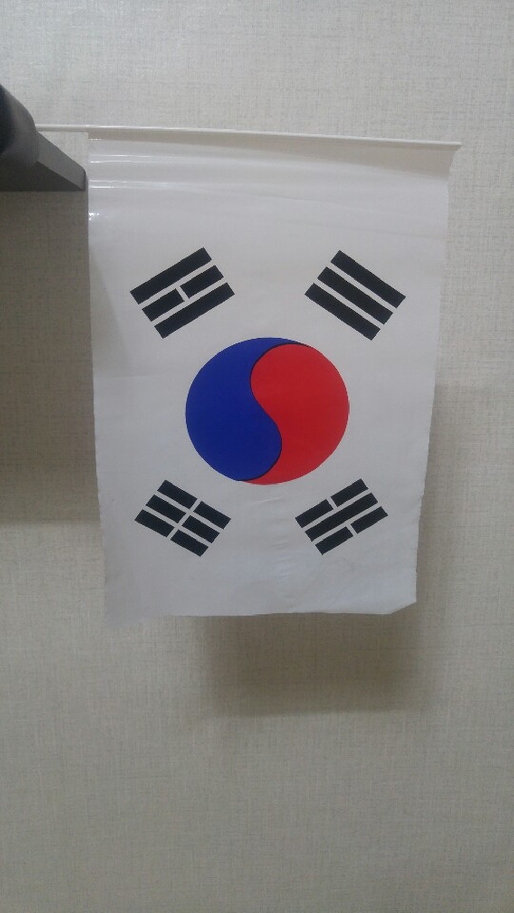 3.1운동 100주년이..