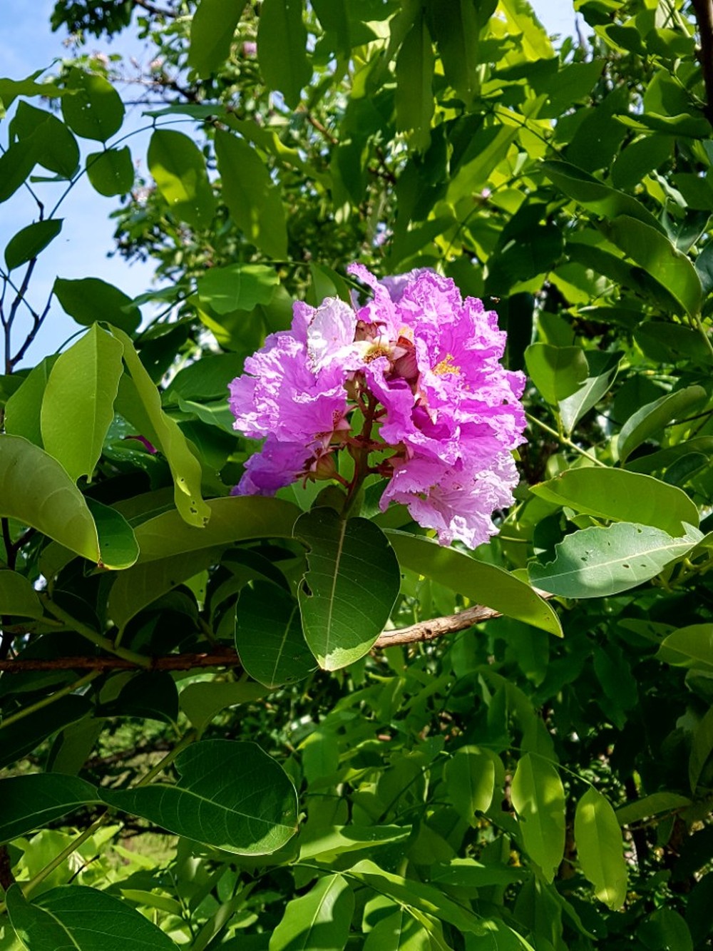 시대가 변해도 중요한것은 안변하나