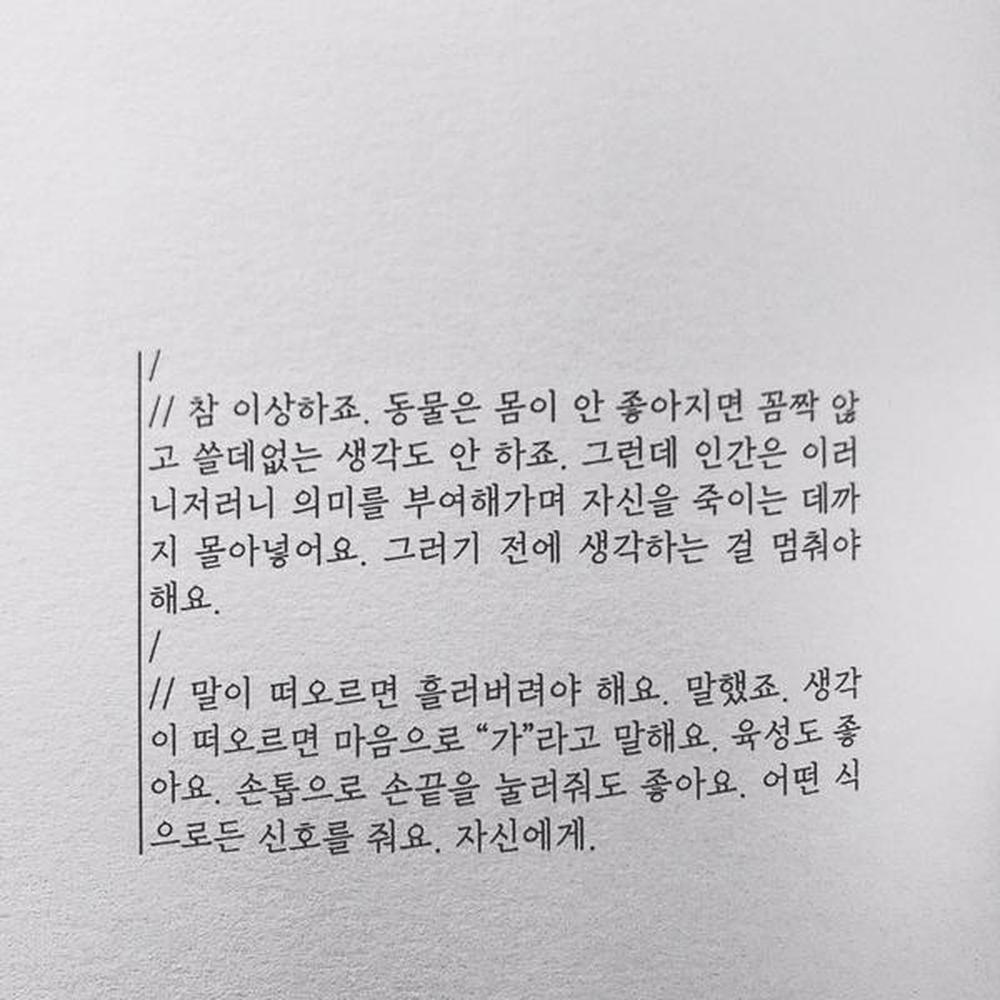 [오늘의미션] 가을 감정 기록
