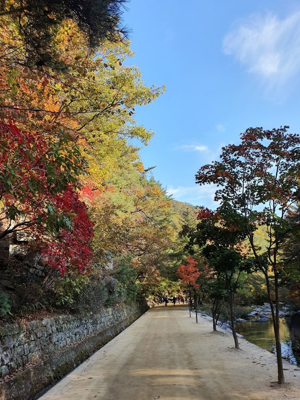 가을 길