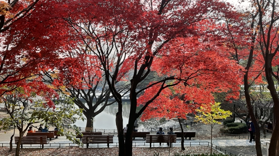 가을 풍경