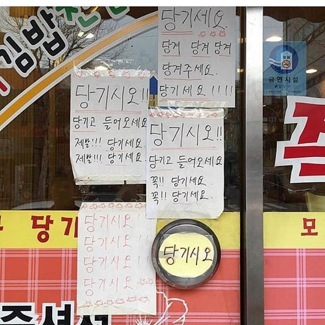 한국인 종특 국룰