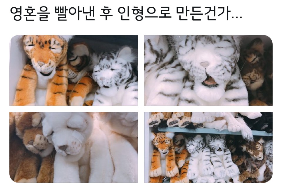 인형들이 전부 힘없어보..