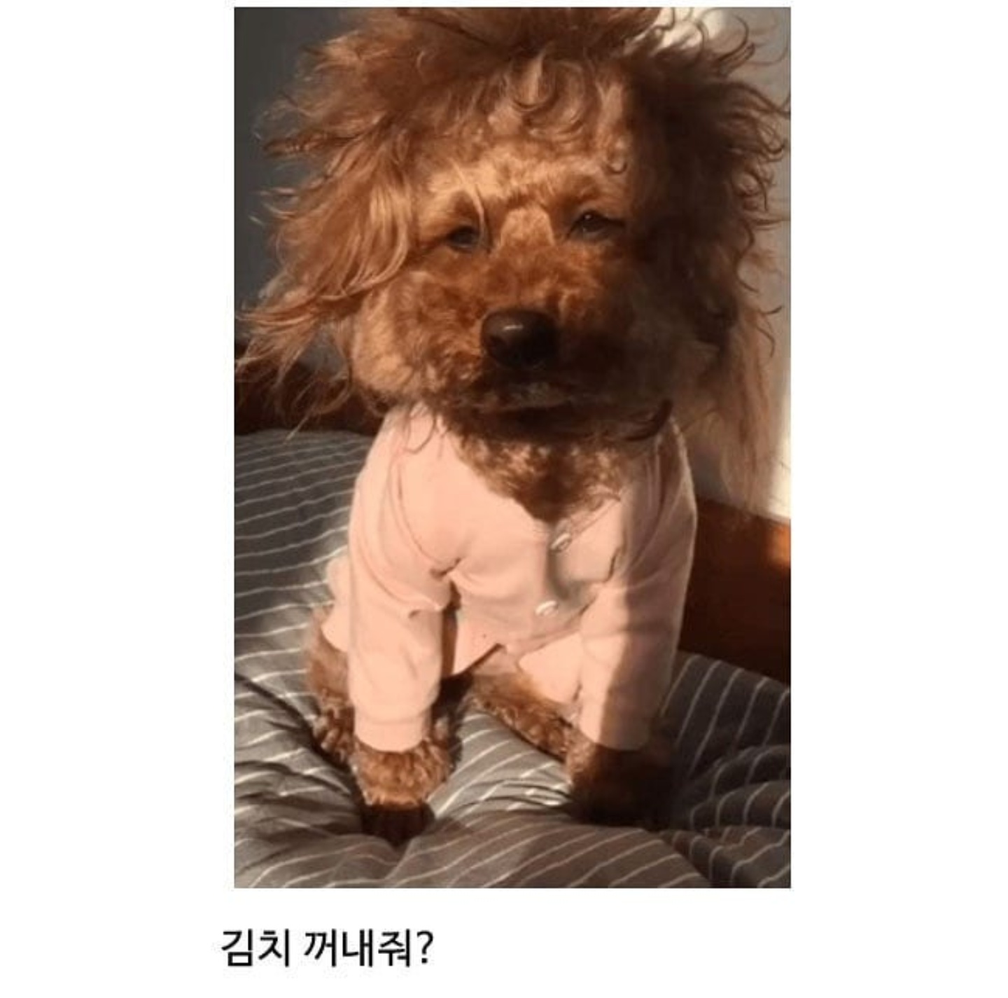 김치 꺼내줘?