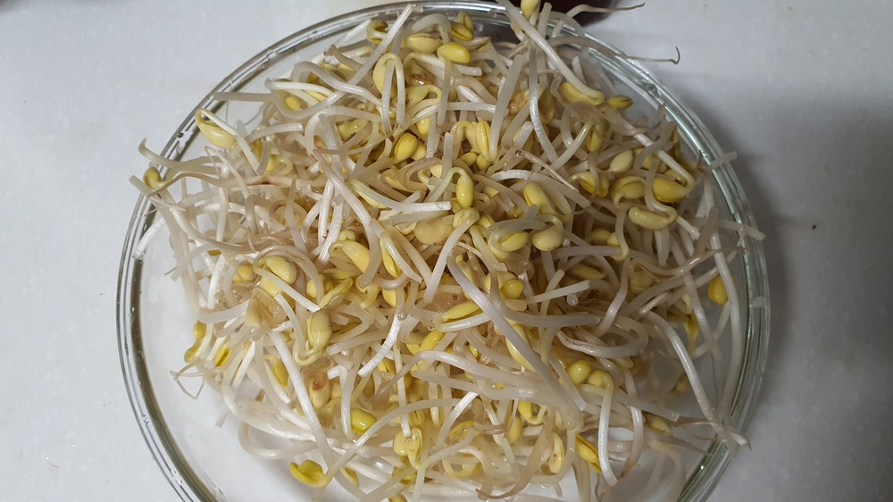콩나물국밥