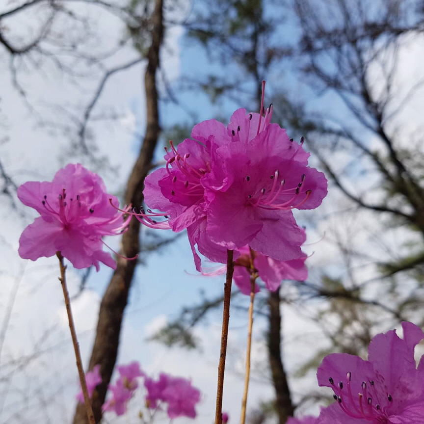 봄이 왔어요.