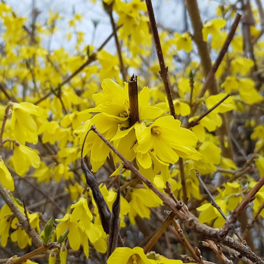 봄이 왔어요.