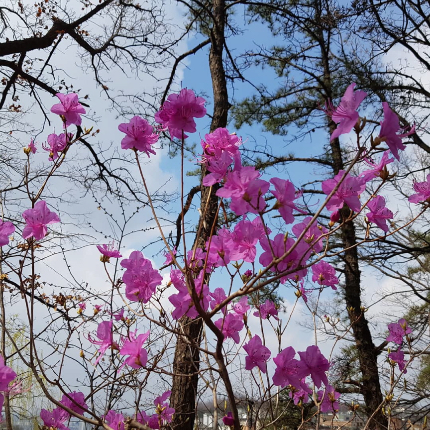 봄이 왔어요.