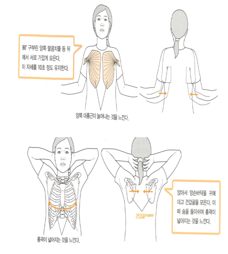 [오늘의미션] 거북목 ..