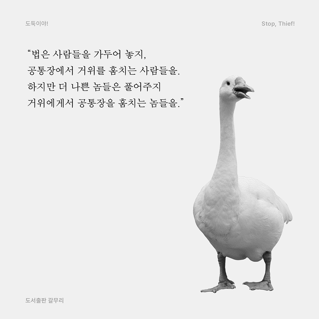 새 책! 『도둑이야! ..