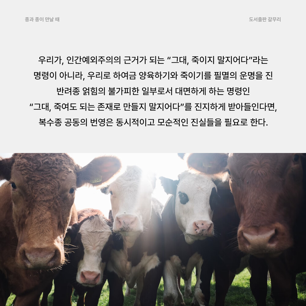 새 책! 『종과 종이 ..