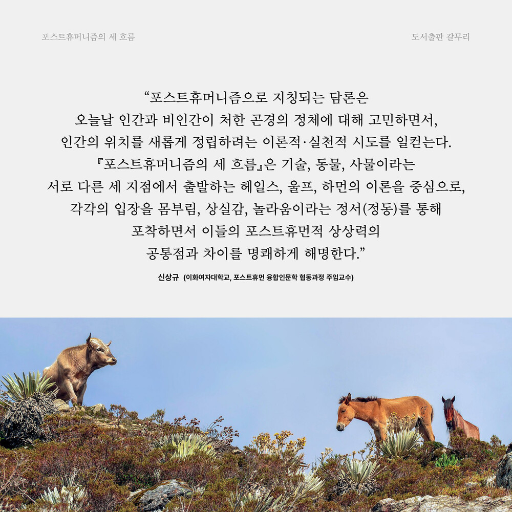 새 책! 『포스트휴머니..