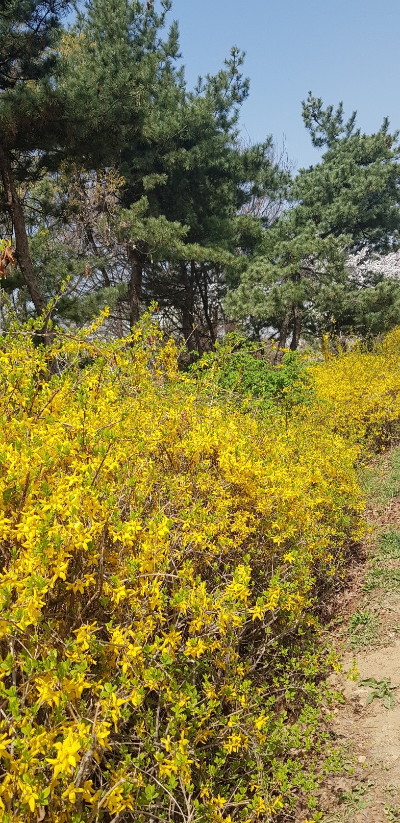 산 사진